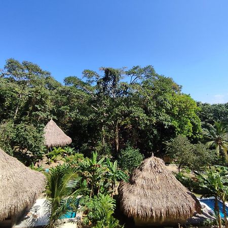 Colibri Parque Tayrona Dentro Del Parque Nacional Tayrona Bed & Breakfast El Zaino Luaran gambar