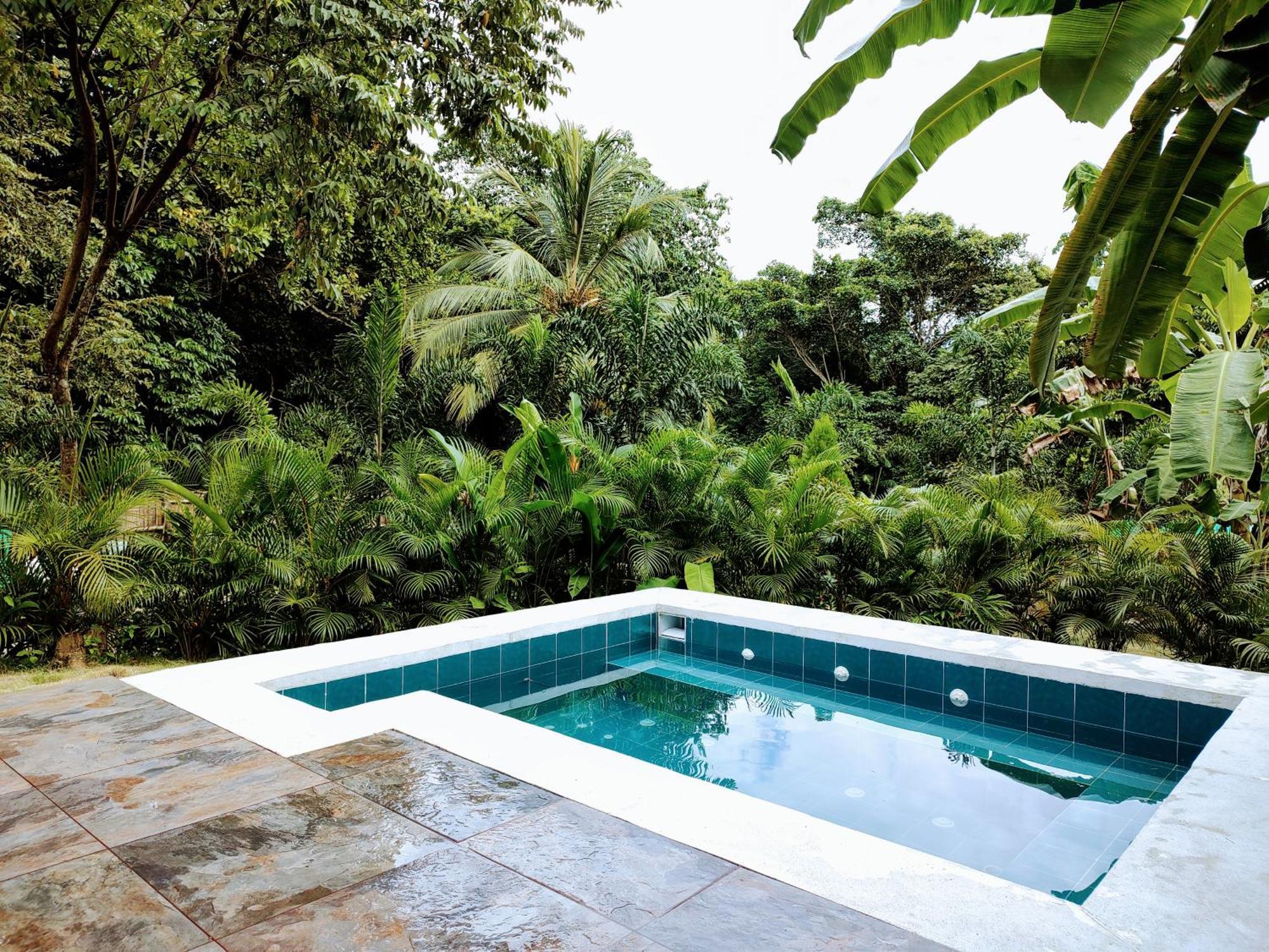 Colibri Parque Tayrona Dentro Del Parque Nacional Tayrona Bed & Breakfast El Zaino Luaran gambar