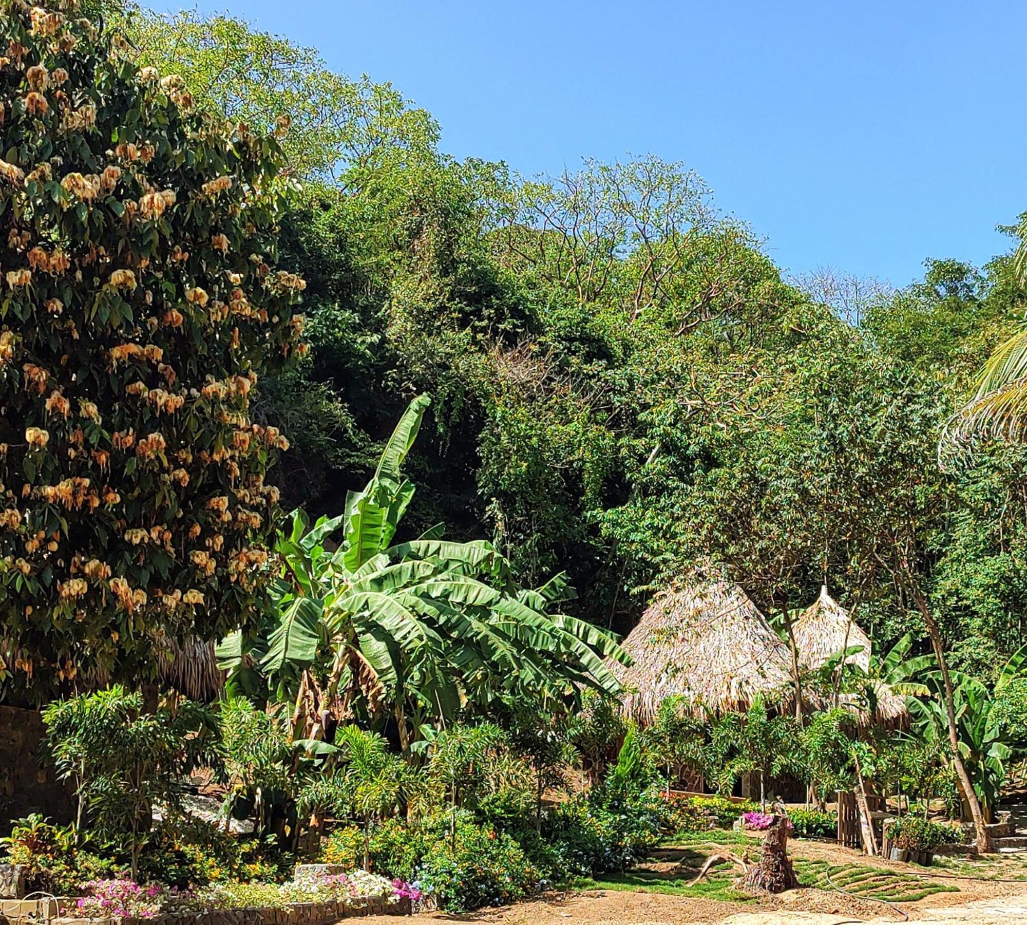 Colibri Parque Tayrona Dentro Del Parque Nacional Tayrona Bed & Breakfast El Zaino Luaran gambar