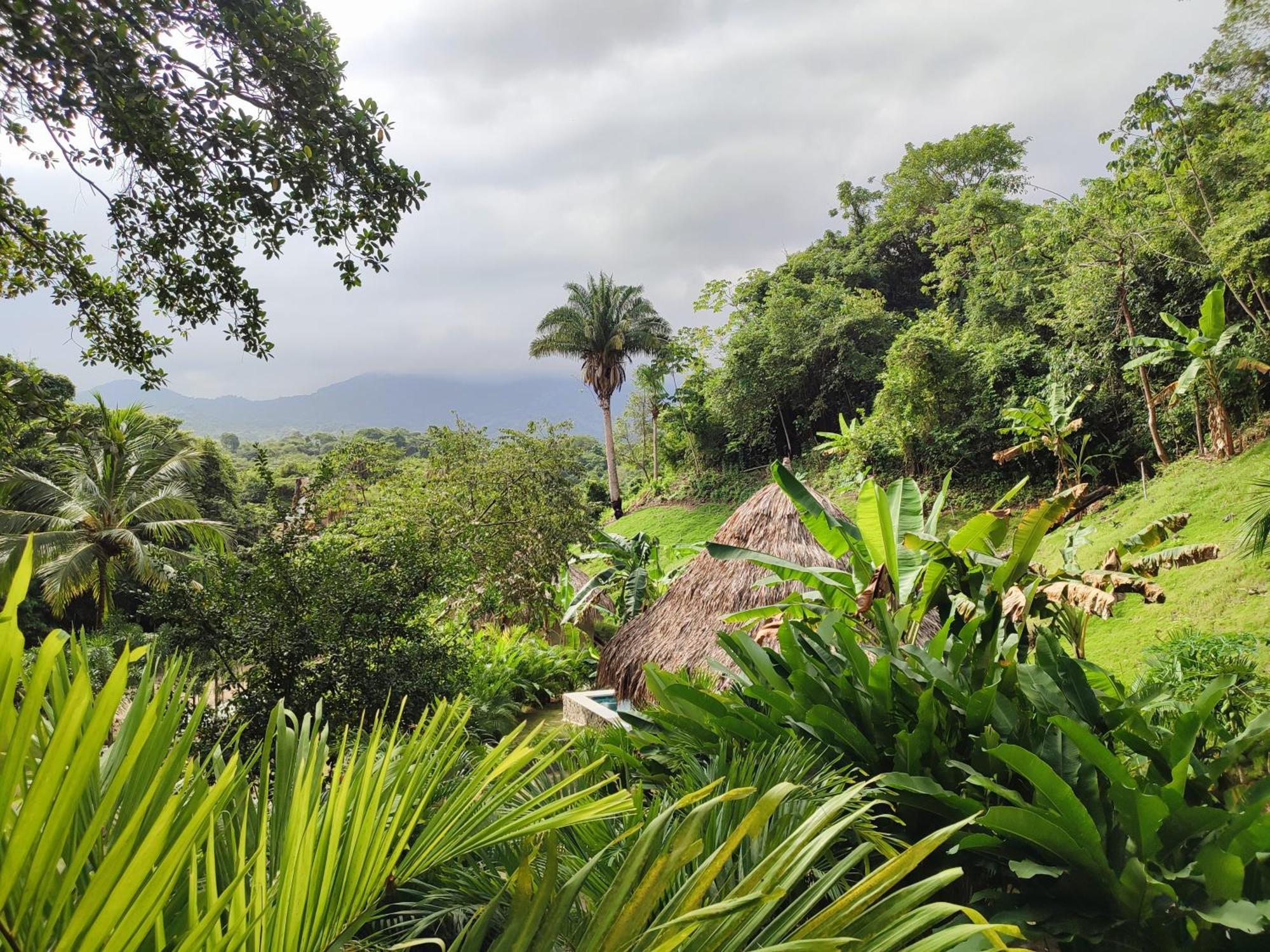 Colibri Parque Tayrona Dentro Del Parque Nacional Tayrona Bed & Breakfast El Zaino Luaran gambar
