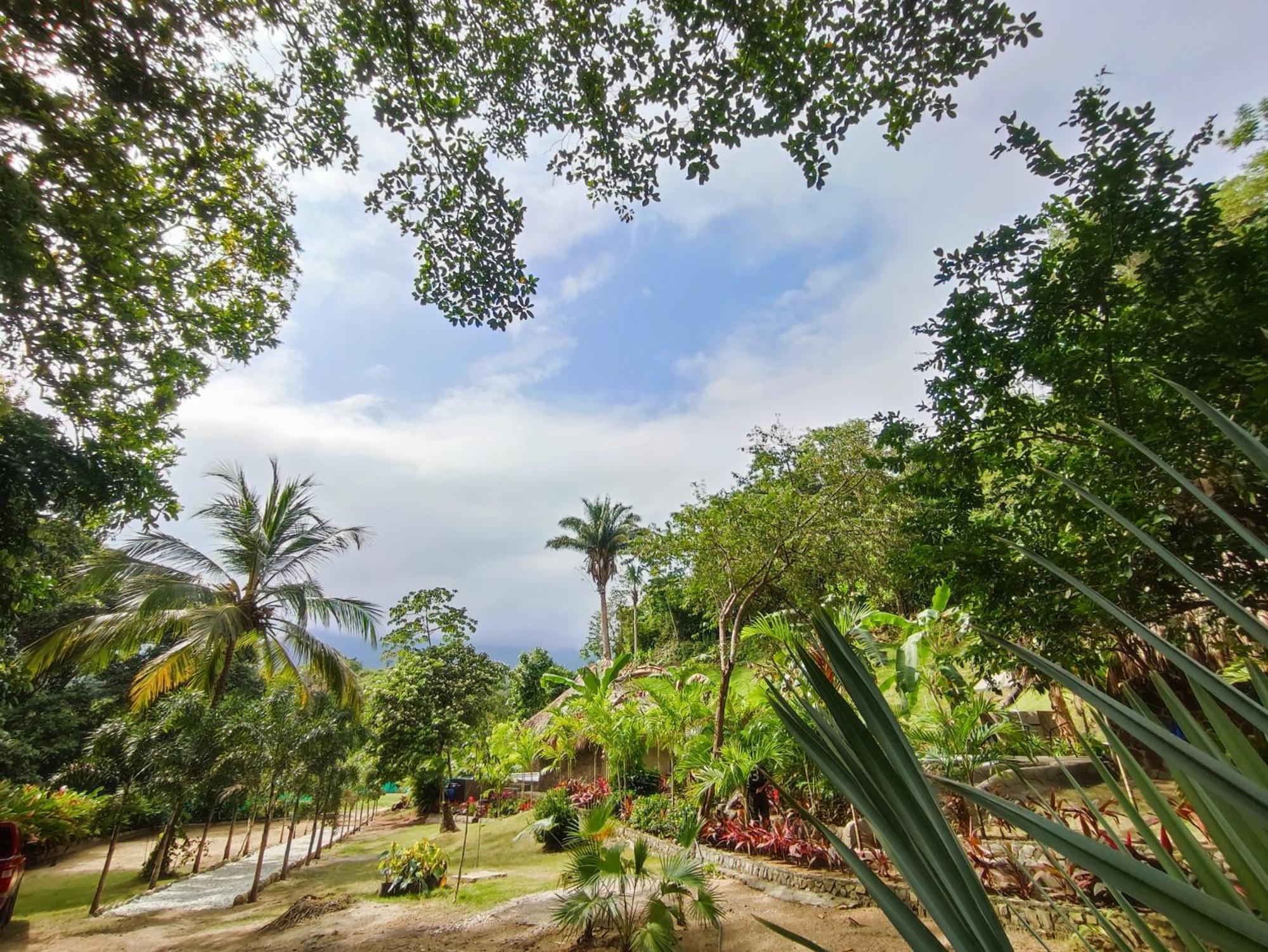 Colibri Parque Tayrona Dentro Del Parque Nacional Tayrona Bed & Breakfast El Zaino Luaran gambar