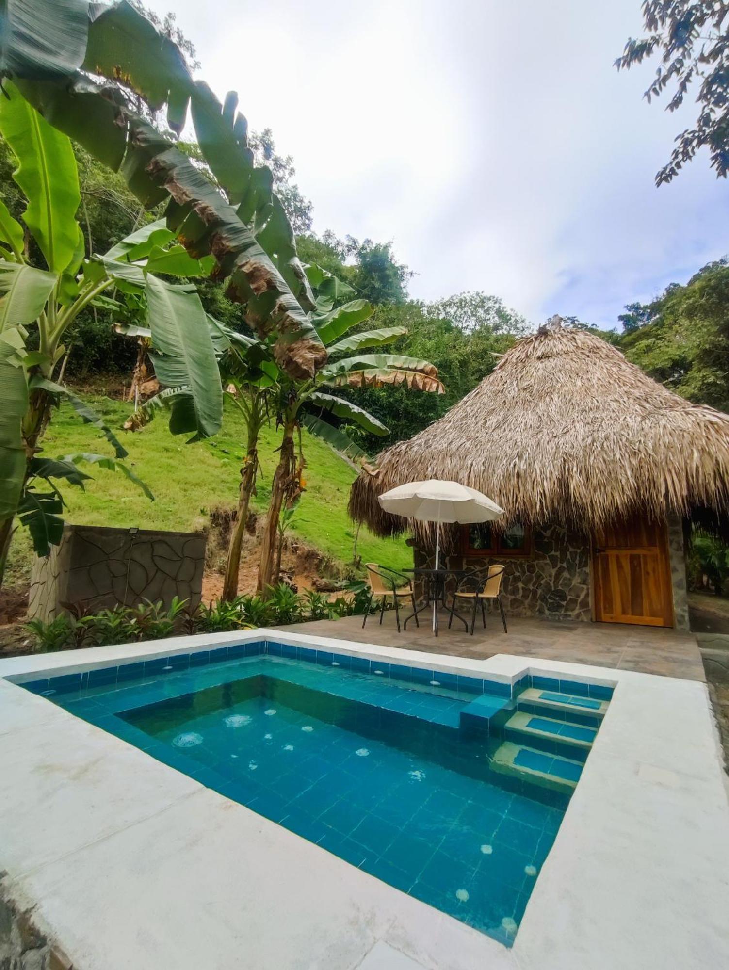 Colibri Parque Tayrona Dentro Del Parque Nacional Tayrona Bed & Breakfast El Zaino Luaran gambar