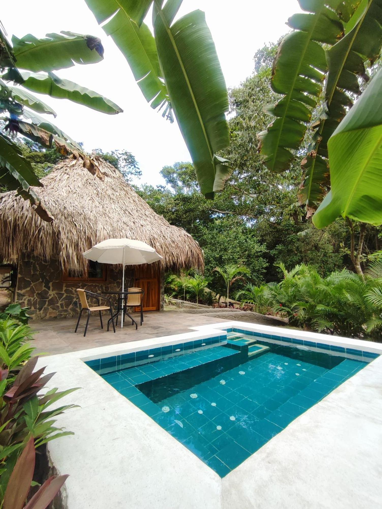 Colibri Parque Tayrona Dentro Del Parque Nacional Tayrona Bed & Breakfast El Zaino Luaran gambar