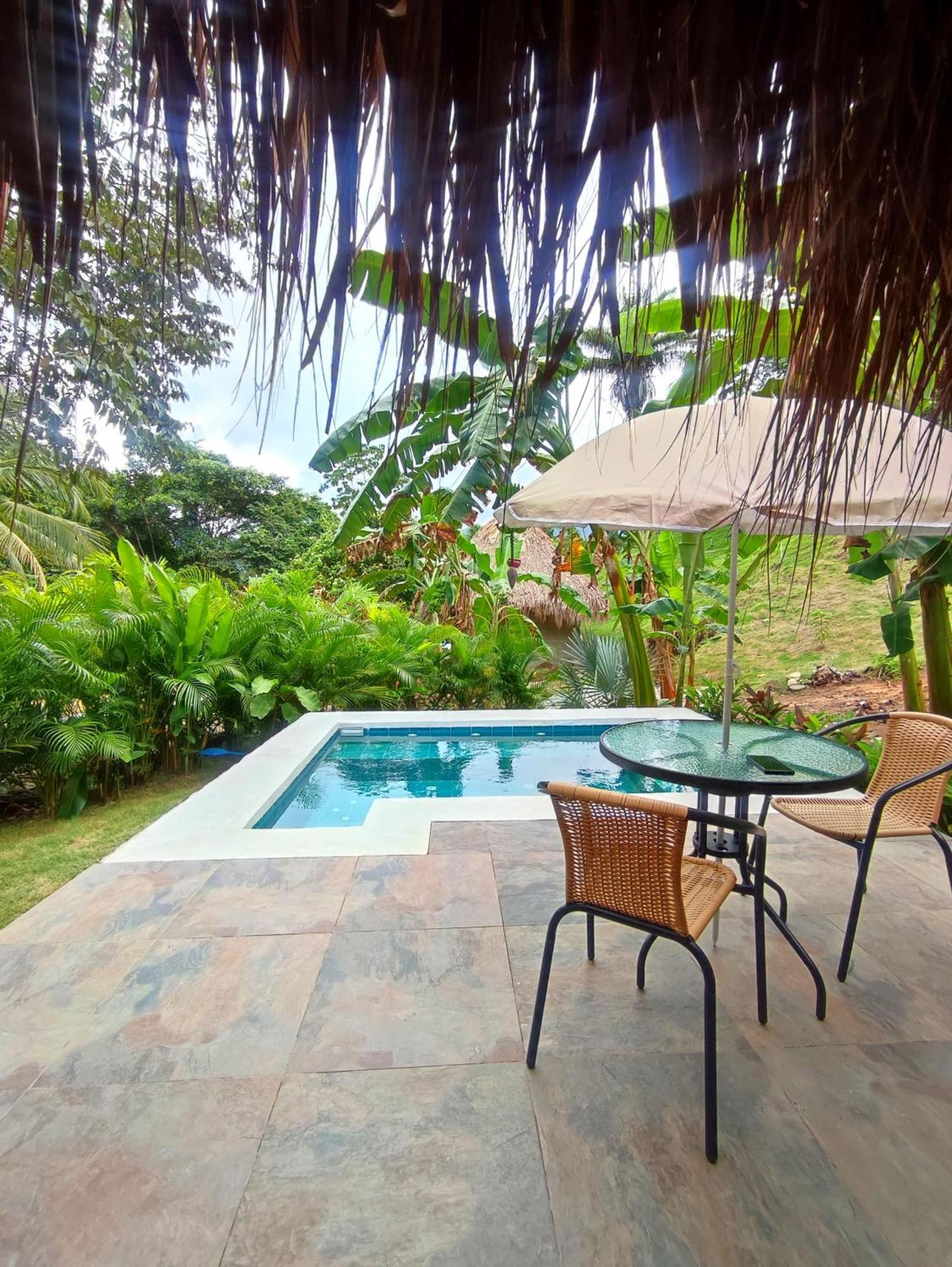 Colibri Parque Tayrona Dentro Del Parque Nacional Tayrona Bed & Breakfast El Zaino Luaran gambar