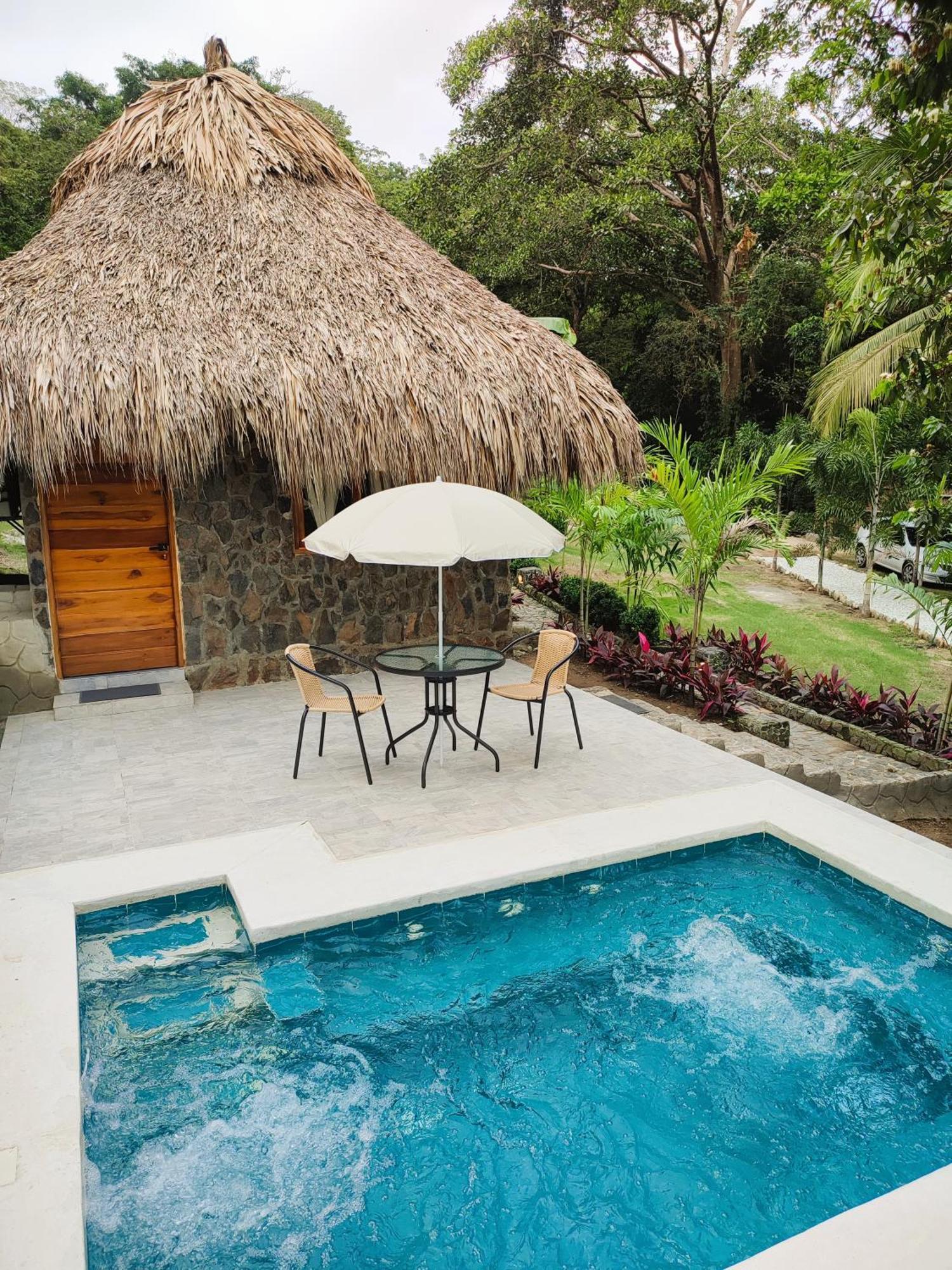 Colibri Parque Tayrona Dentro Del Parque Nacional Tayrona Bed & Breakfast El Zaino Luaran gambar