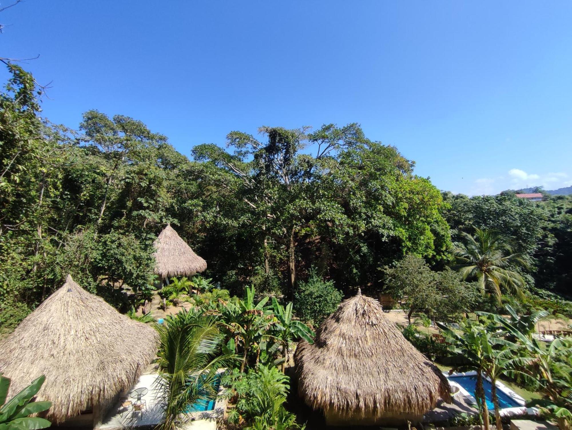 Colibri Parque Tayrona Dentro Del Parque Nacional Tayrona Bed & Breakfast El Zaino Luaran gambar